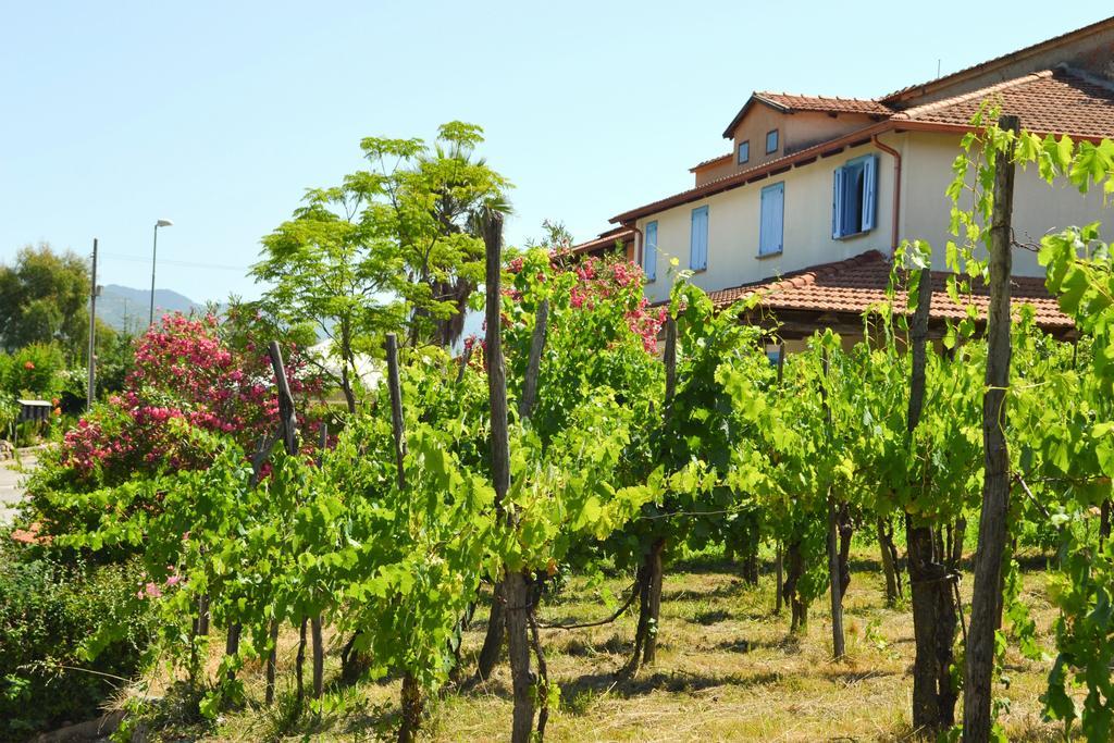 Benvenuti Nel Sud Bed & Breakfast Sessa Cilento Exterior photo