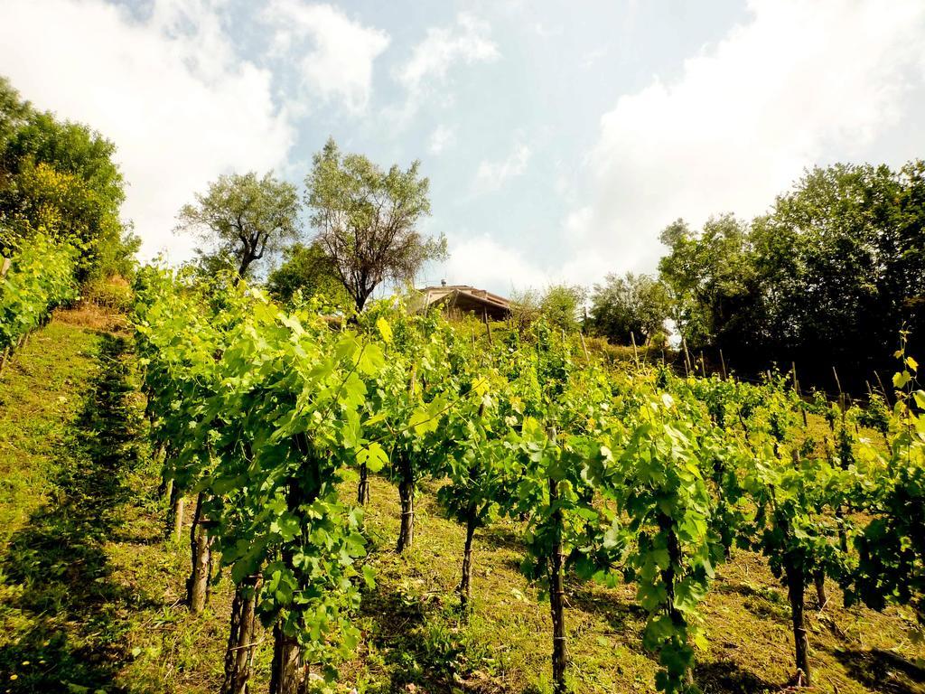 Benvenuti Nel Sud Bed & Breakfast Sessa Cilento Exterior photo
