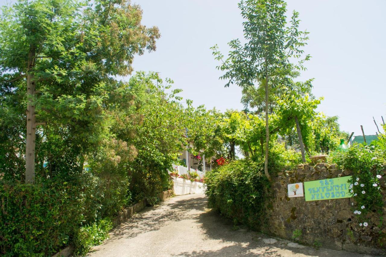 Benvenuti Nel Sud Bed & Breakfast Sessa Cilento Exterior photo